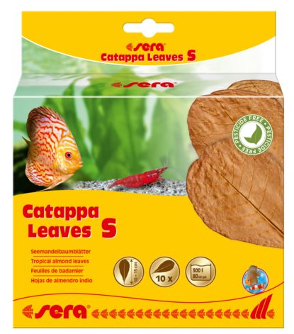Листья индийского миндаля SERA Catappa Leave 10 шт (14 см)