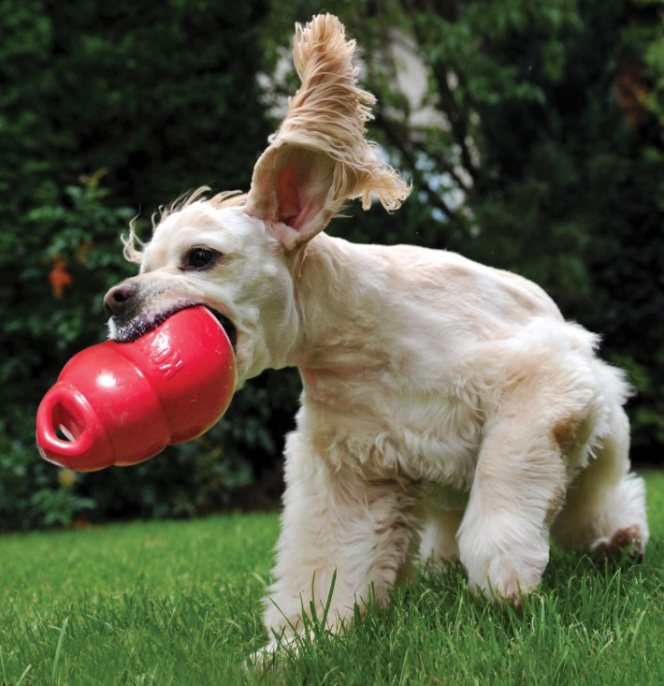 KONG Игрушка для собак Bounzer (L)