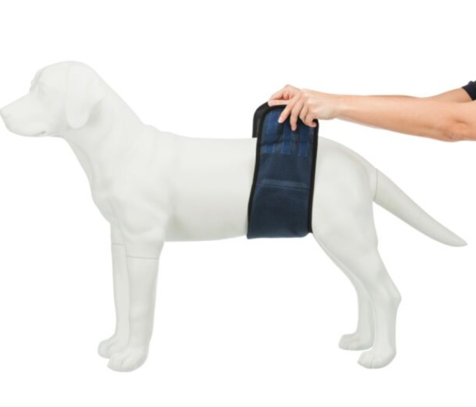 TRIXIE Пояс для кобелей, темно-синий (ХL(65–75 см))