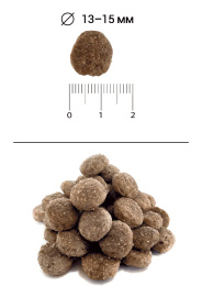 Сухой корм для собак Blitz Holistic Adult Dog All Breeds (утка)