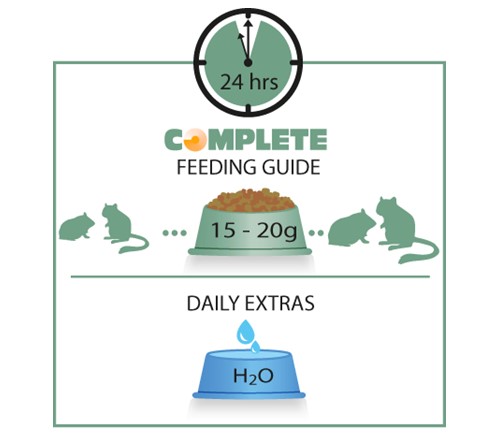 Корм для хомяков и песчанок Versele-Laga Complete Hamster & Gerbil (500 гр.)