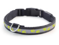 Ошейник светодиодный для собак неоновый салатовый TRIOL (S 20х230-310 мм)