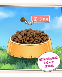 Сухой корм для кошек ZILLII Urinary Care Adult Cat (индейка)