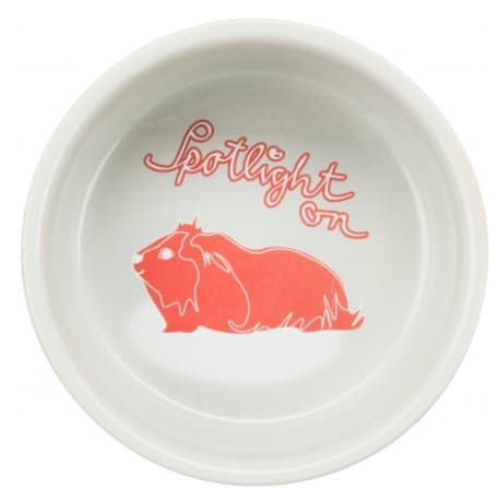 Миска керамическая для морских свинок TRIXIE (250 мл.)