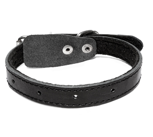 Безразмерный ошейник на синтепоне Gamma (20 х 450 мм)