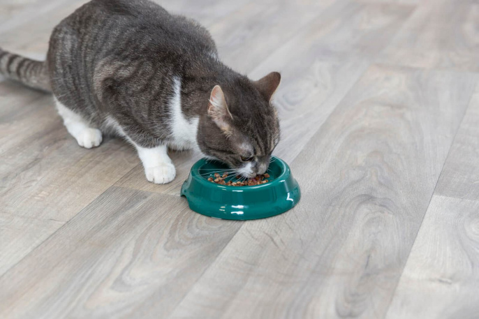 Миска для кошек пластик TRIXIE (0,2л/диам.11см)