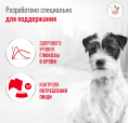 Сухой корм для собак мелких пород при диабете Royal Canin Glycobalance Small Dog (4 кг)