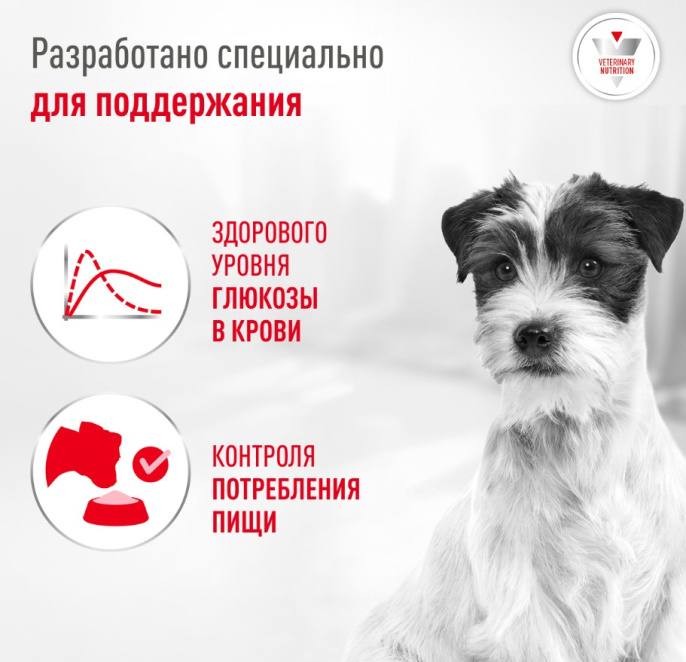 Сухой корм для собак мелких пород при диабете Royal Canin Glycobalance Small Dog (4 кг)