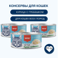 Консервы для кошек Wanpy Cat (курица, гребешоки) (95 гр)