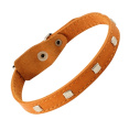 Ошейник кожаный с украшением Gamma Ёж (36 х 720 мм)