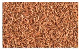 Дополнительный корм для черепах (креветки) Тetra ReptoDelica Shrimps