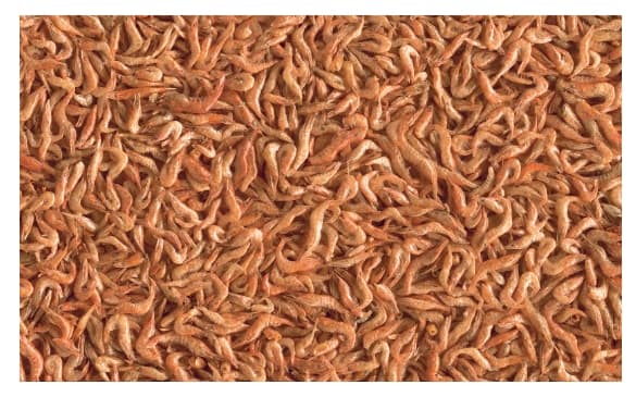 Дополнительный корм для черепах (креветки) Тetra ReptoDelica Shrimps