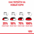 Влажный корм для щенков мелких пород Royal Canin X-Small Puppy (соус) (85 гр*12 шт)
