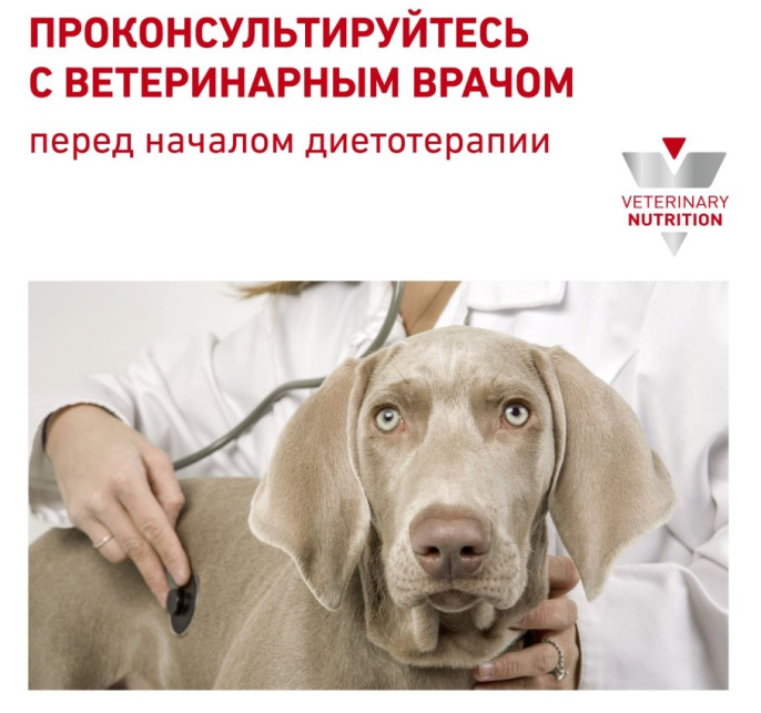 Сухой корм для собак Royal Canin Urinary S/O Small Dog (1,5 кг)