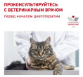 Сухой корм для кошек Royal Canin Urinary S/O Moderate Calorie (0,35 кг)