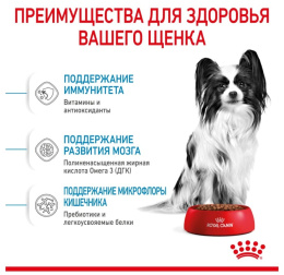 Сухой корм для щенков Royal Canin X-Small Puppy