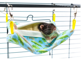 Гамак подвесной для грызунов и хорьков Bambini Pets Квадратный спальный мешок