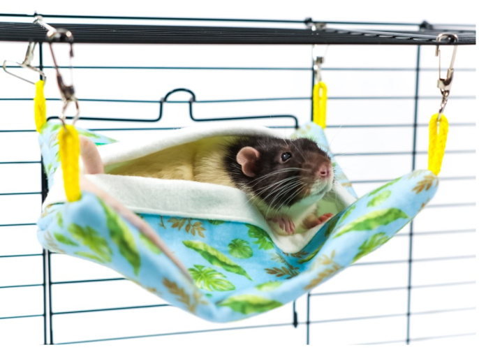 Гамак подвесной для грызунов и хорьков Bambini Pets Квадратный спальный мешок