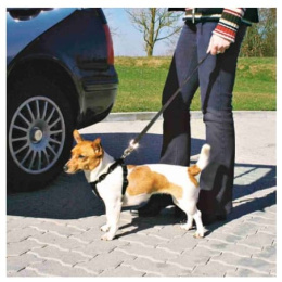 Автомобильный ремень безопасности для собак 30-60 см TRIXIE (1290)