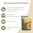Влажный корм Мнямс Кусочки в соусе с уткой для домашних кошек (85 гр.)