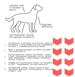 Сухой корм для собак средних AJO Basic Line Medium Adult Dog