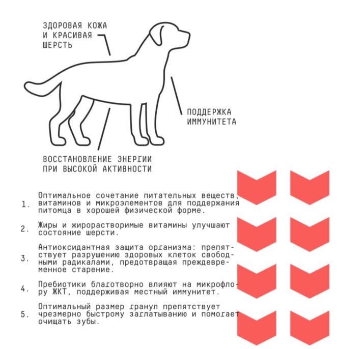 Сухой корм для собак средних AJO Basic Line Medium Adult Dog (2 кг)