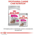 Сухой корм для собак Royal Canin Mini Exigent (1 кг)