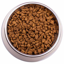 Сухой корм для котят Gemon Kitten (курица и рис)