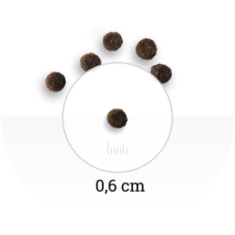 Сухой корм для котят Bon Appetit Kitten (курица)