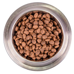 Сухой корм для собак Monge Dog BWild LG Adult All Breeds (дикий кабан)