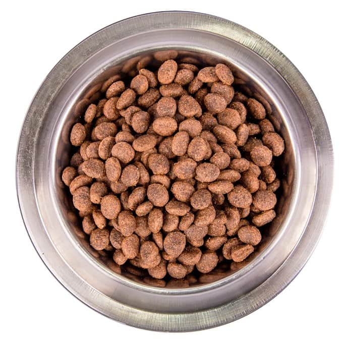 Сухой корм для собак Monge Dog BWild LG Adult All Breeds (дикий кабан) (2,5 кг)