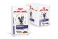 Влажный корм для кошек Royal Canin Neutered Maintenance Cat (мелкие кусочки в соусе) (85 гр*12 шт)
