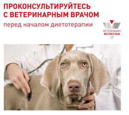 Сухой корм для собак Royal Canin Neutered Adult Small Dog