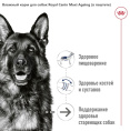 Влажный корм для собак Royal Canin Maxi Ageing (в паштете) (410 гр.)