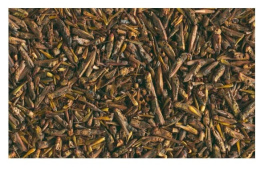 Дополнительный корм для черепах (кузнечики) Tetra ReptoDelica Grasshopper