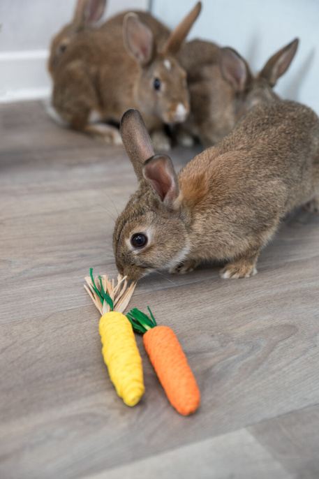 Игрушка для грызунов TRIXIE "Морковь и кукуруза" (2 шт) (15 см (2 шт))