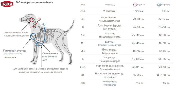 Ошейник для собак светоотражающая TRIXIE Silver Reflect (XS-S, 22-35см/15мм)