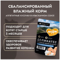 Влажный корм для котят старше 3 месяцев Мнямс Деликатес Куриное филе с козьим молоком в соусе  (50 гр.)