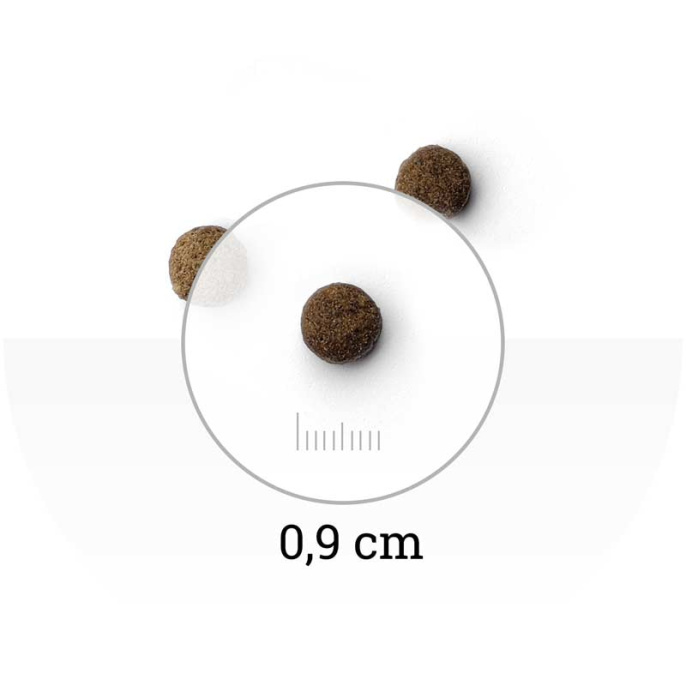 Сухой корм для кошек Natura Wild Sensitive CAT Niagara Falls (фазан) (2 кг)