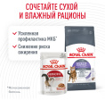 Сухой корм для кошек Royal Canin Appetite Control Care (0,4 кг)