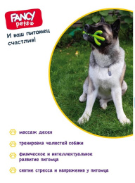FANCY PETS игрушка для собак Кактус