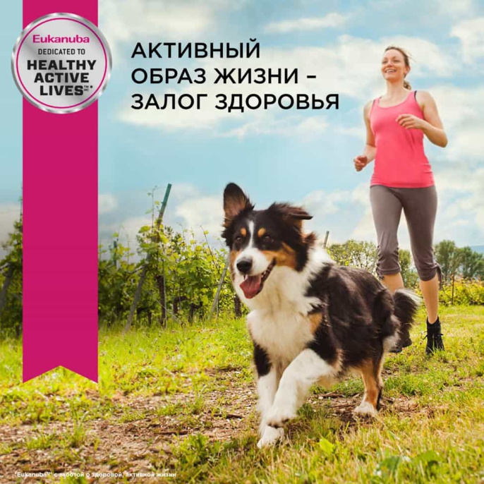 Сухой корм для собак Eukanuba Adult Medium Breed (птица) (3 кг)