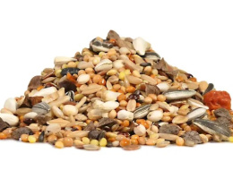 Корм для средних попугаев в период линьки RIO