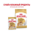 Сухой корм для собак Royal Canin Pomeranian Adult (0,5 кг)