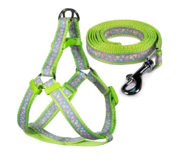 Комплект шлейка и поводок для собак "Одуванчик-2" Triol