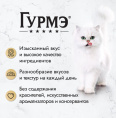 Влажный корм для кошек Гурмэ Перл Желе Де-Люкс в роскошном желе (лосось) (75 гр)