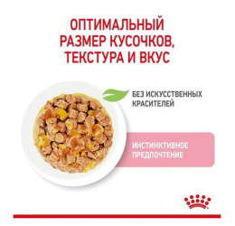 Влажный корм для котят Royal Canin Kitten Instinctive (желе)