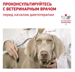 Паштет для собак Royal Canin Cardiac