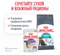Сухой корм для кошек Royal Canin Urinary Care (0,4 кг)