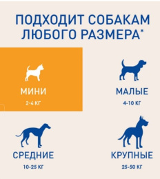 Снимок экрана 2026-08-12 232023